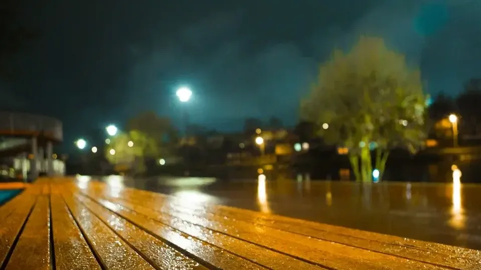 Фото: Министерство благоустройства Московской области