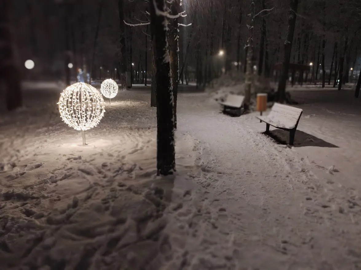 фото: Алексей Селиверстов / Regions.ru