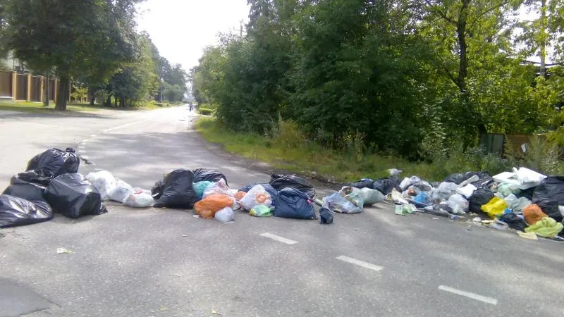 Протест по-пушкински: жители частного сектора перегородили дорогу мусором в Клязьме
