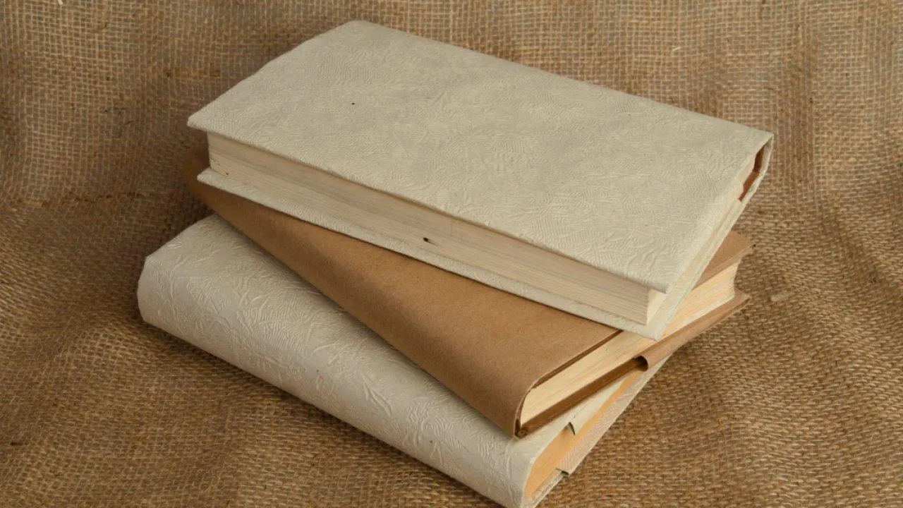 REGIONS/Дарина Левкина