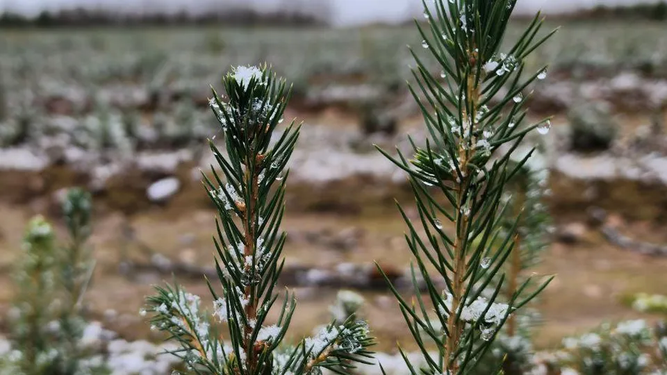 Фото: МедиаБанк Подмосковья/Евгений Рой