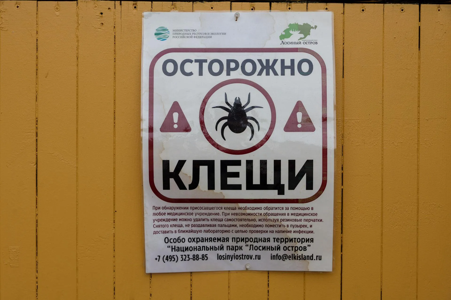 Shatokhina Natalia/news.ru