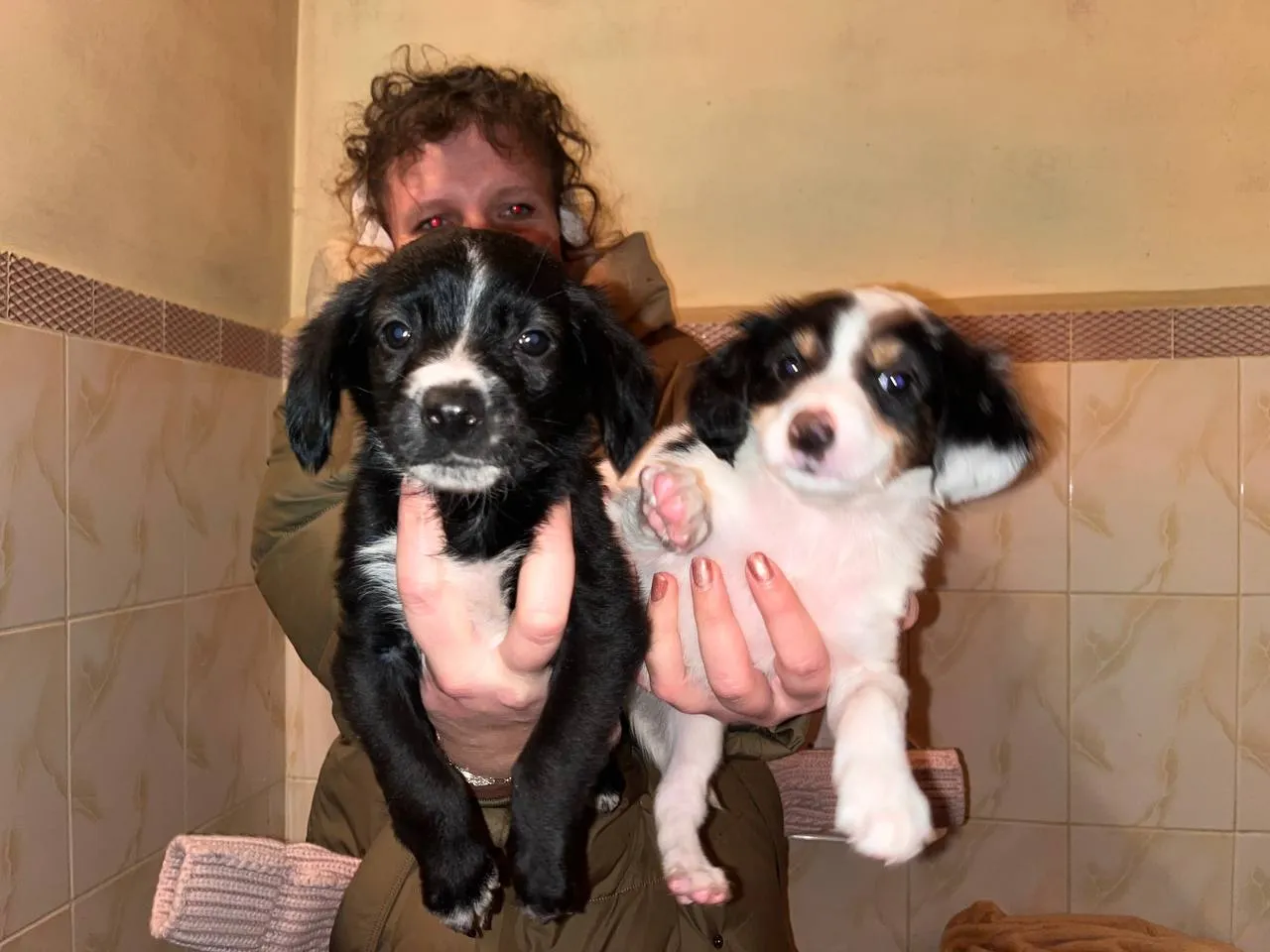 Фото: МедиаБанк Помосковья/Ангелина Стельмух