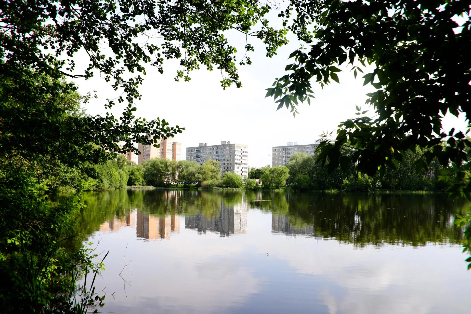 Фото: правительство Московской области