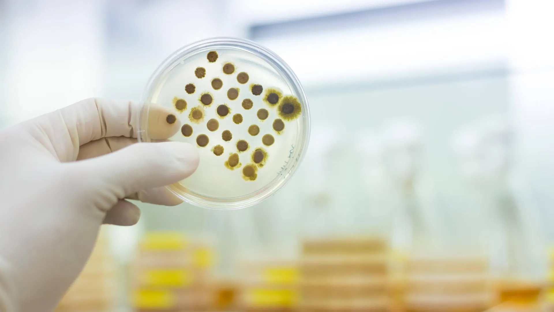 IMAGO/Zoonar.com/Matej Kastelic