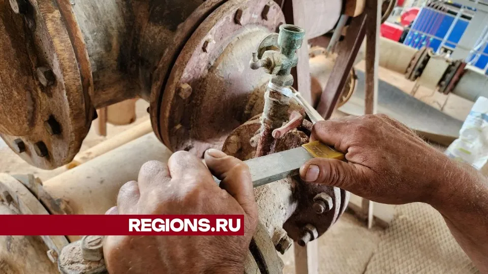 Фото: Елена Лабзина