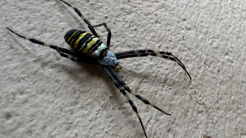 Фото: REGIONS/Владимир Ерастов