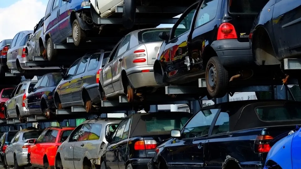 Фото: pxhere.com