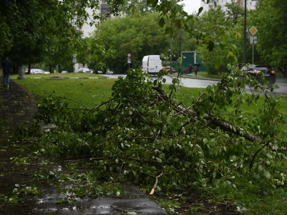 Фото: медиасток.рф