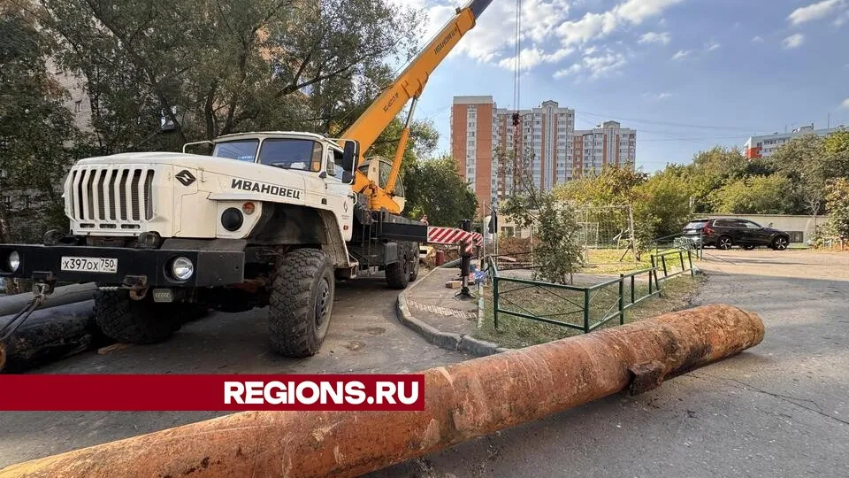 Фото: Мария Шматкова