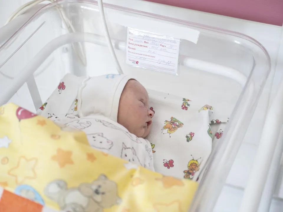 Фото: пресс-служба администрации г.о. Ленинский