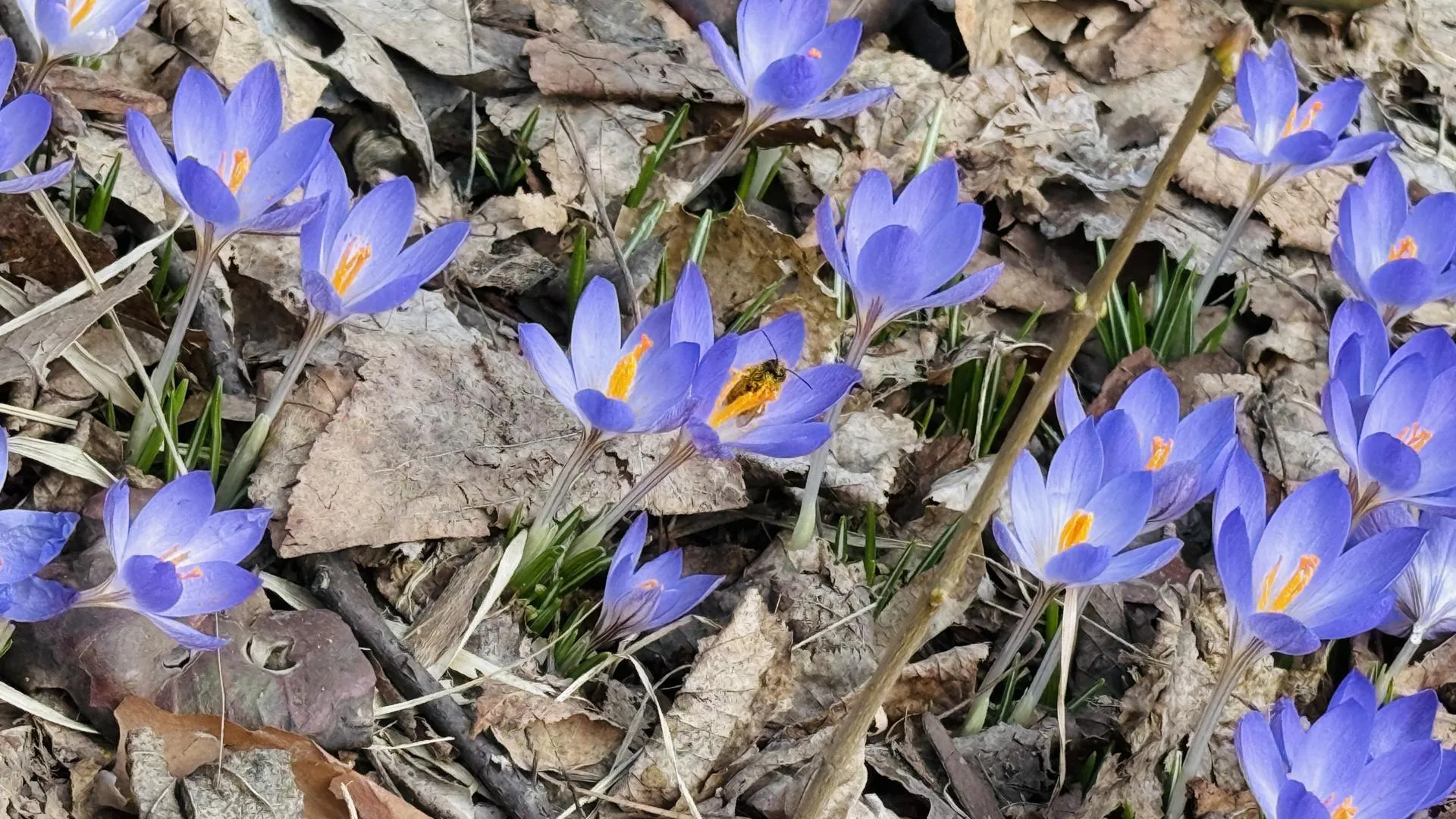 МедиаБанк Подмосковья/Ольга Стаферова