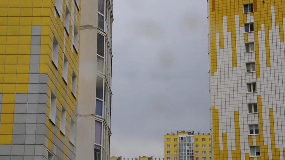 Фото: пресс-служба администрации г.о. Солнечногорск