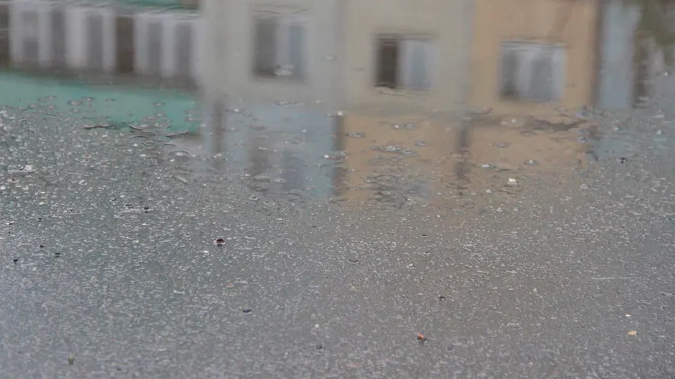 Фото: REGIONS/Василий Тремасов