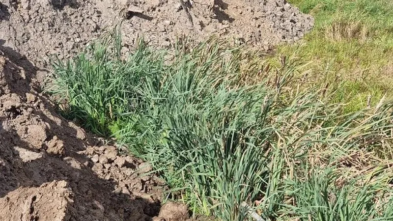 Минэкологии МО.