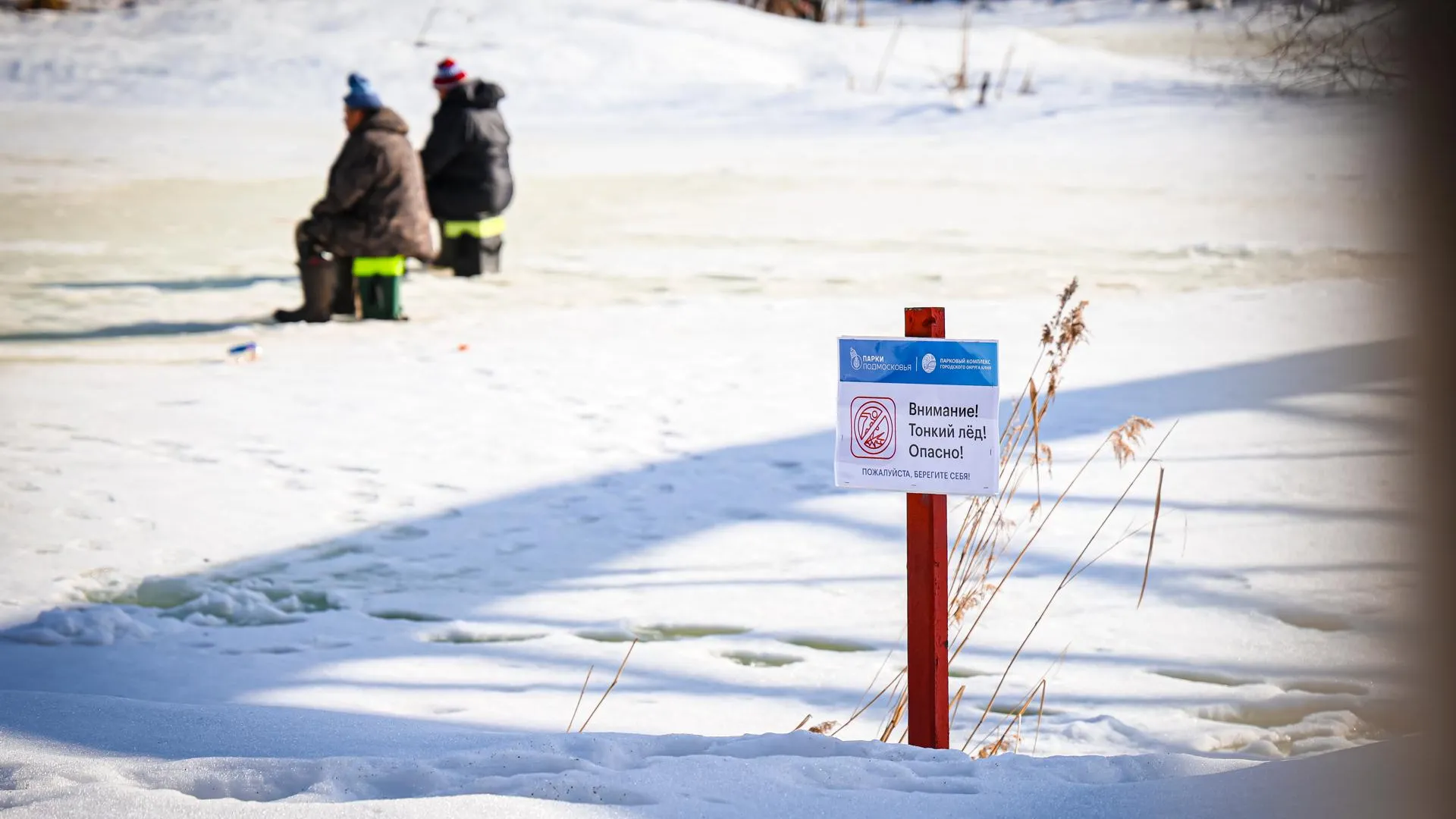 МедиаБанк Подмосковья/Данила Кирьянов