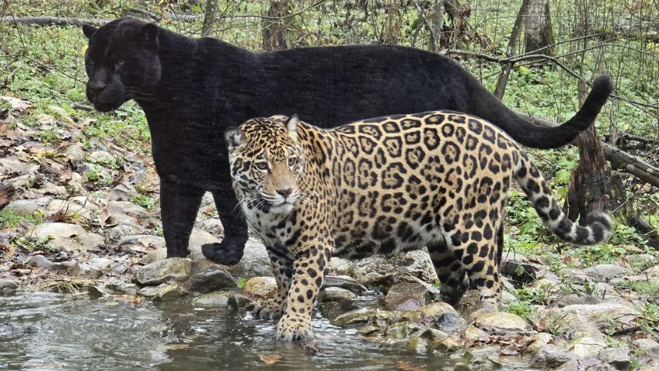 Фото: REGIONS/Яна Шаливская