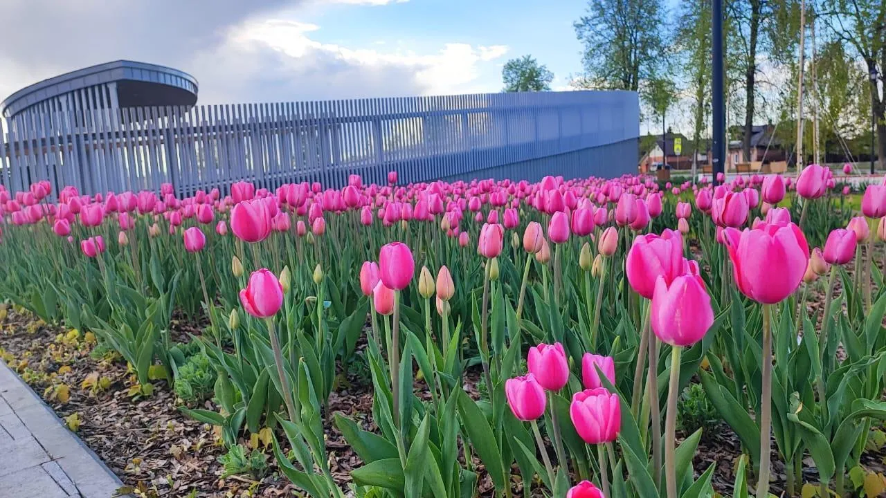 Администрация г. о. Клин