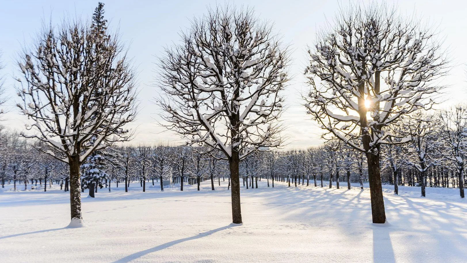 Фото: Комитет по конкурентной политике МО