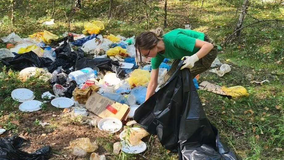Фото: Комитет лесного хозяйства Московской области