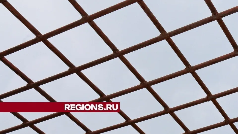Фото: REGIONS/Александр Дрожжин