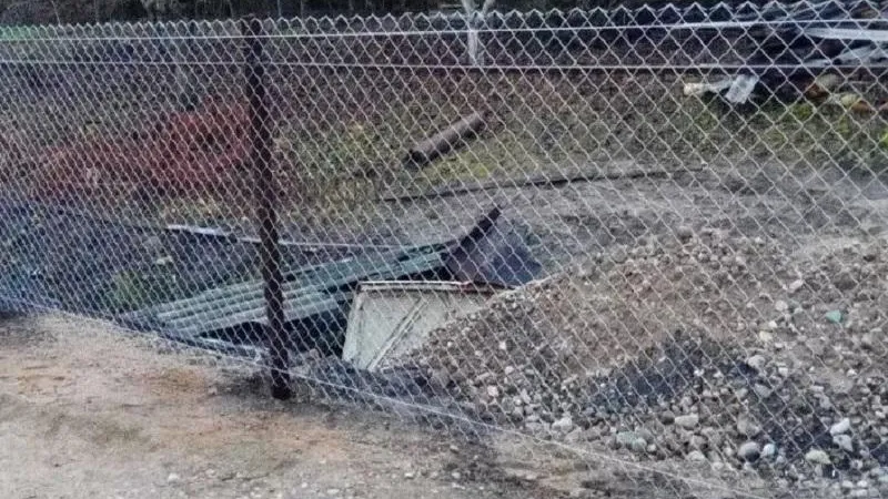 Фото: Министерство экологии и природопользования Московской области