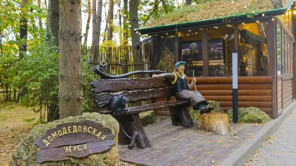 Фото: пресс-служба администрации г.о. Домодедово