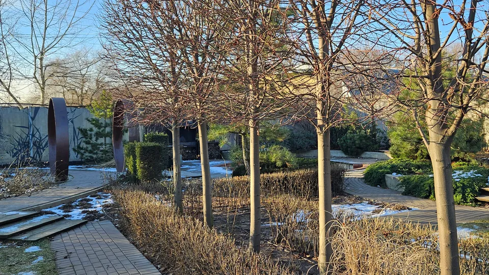 Фото: Ольга Вельшикаева