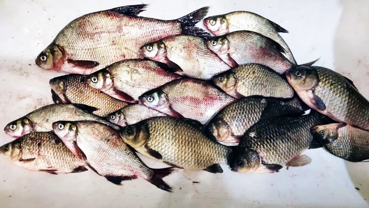 Фото: Рыбалка Чехов, Серпухов, Подольск