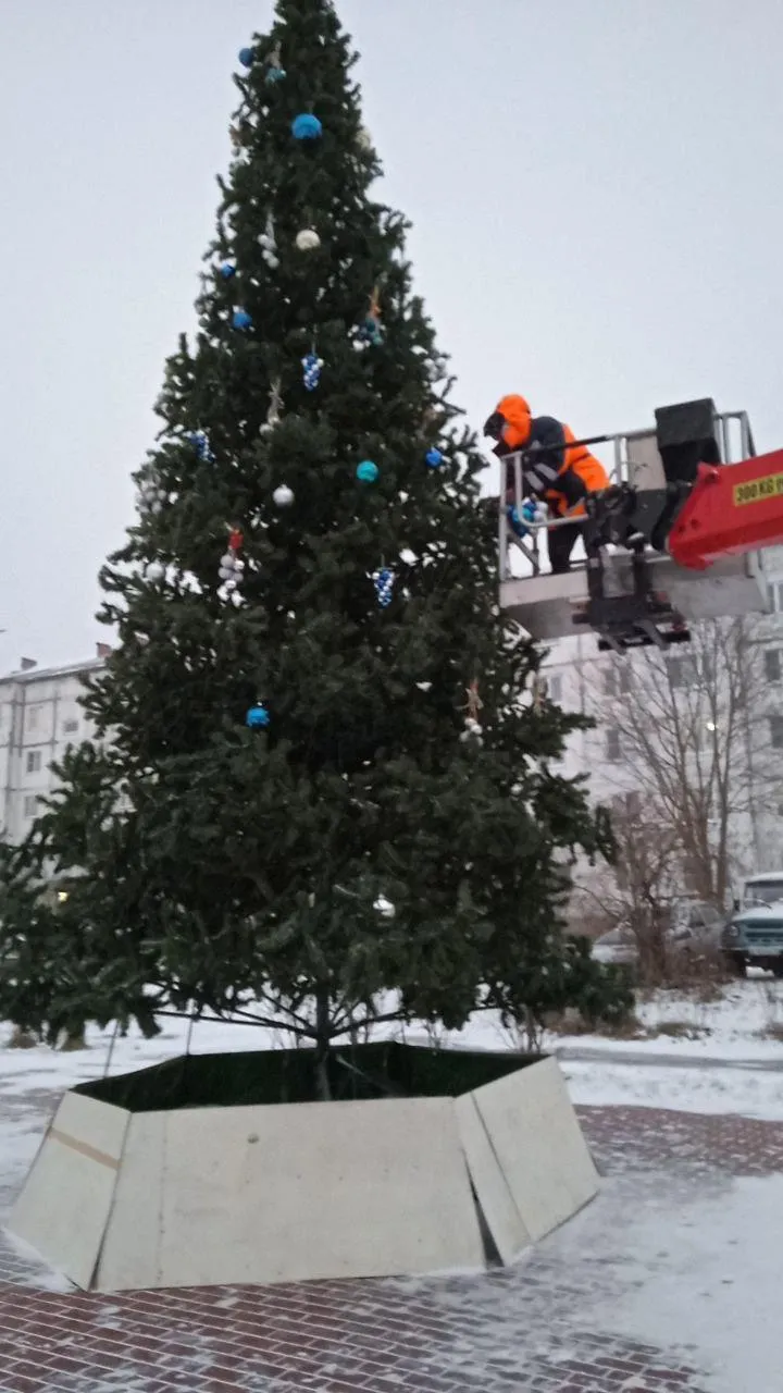 Фото: МБУ «ДОДХИБИМР»