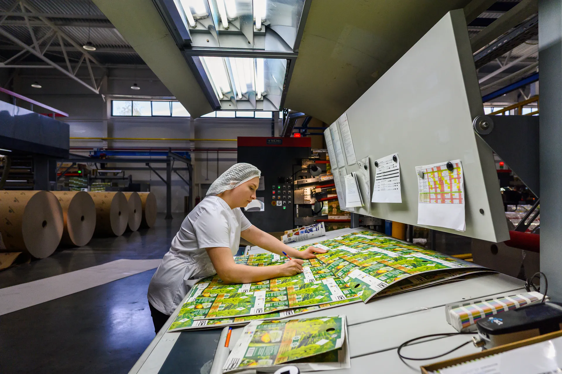 Завод по производству упаковки для пищевых продуктов «МолоПак» в Чехове