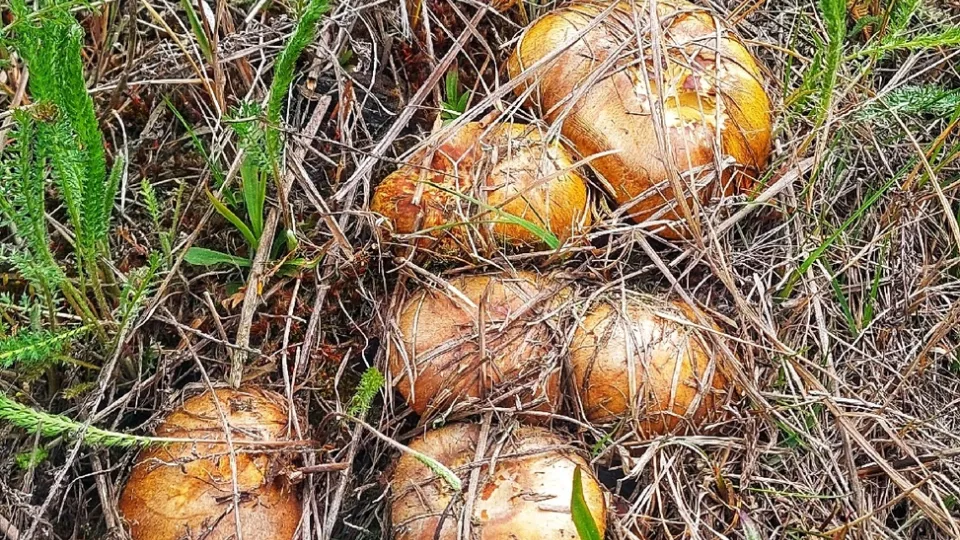 Фото: Василий Потапов