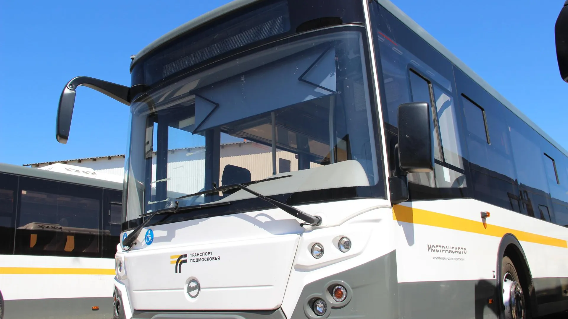 Фото: Василий Тремасов