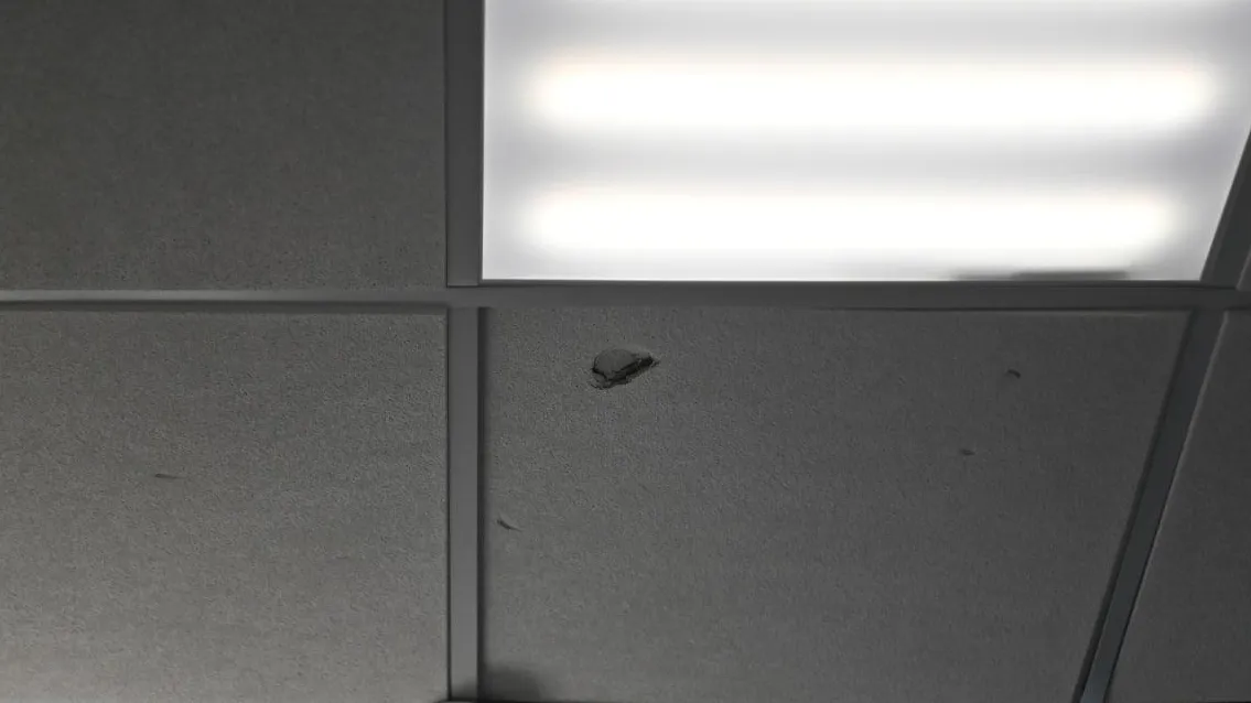 Фото: пресс-служба администрации Сергиево-Посадского г.о.