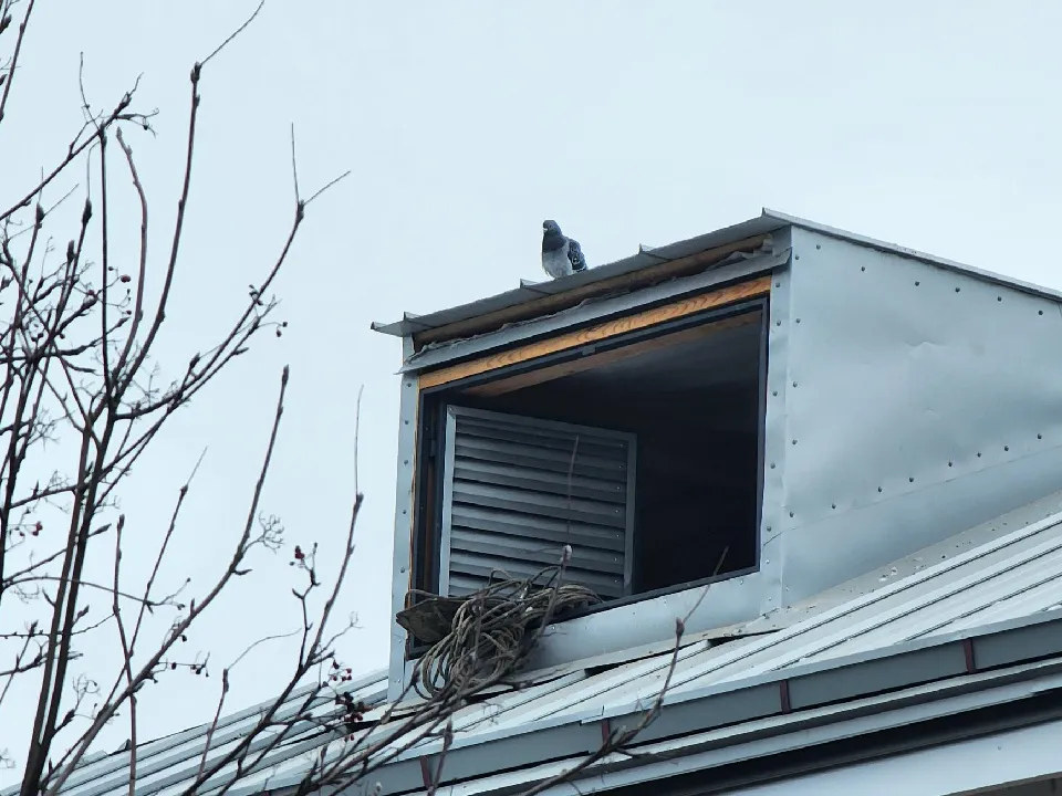 Фото: Марина Анисимова