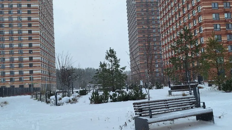 Автор: REGIONS/Катерина Антохина