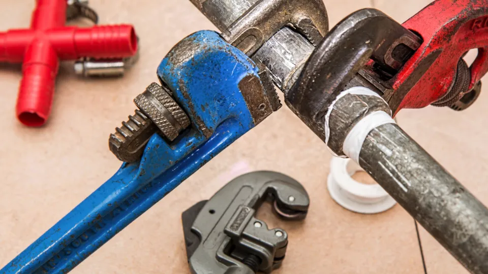 Фото: pxhere.com