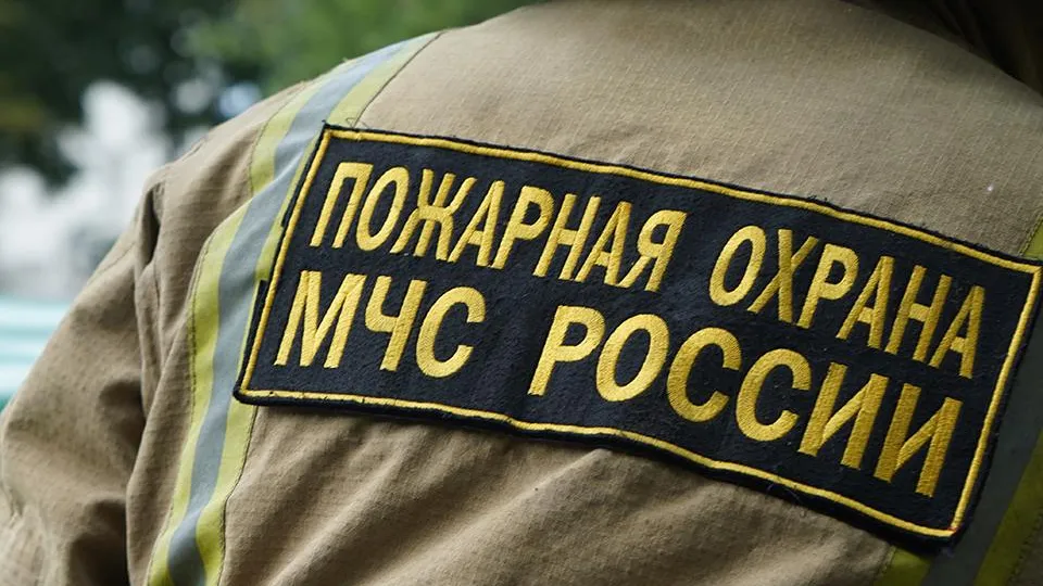 Фото: REGIONS/Анна Быкова