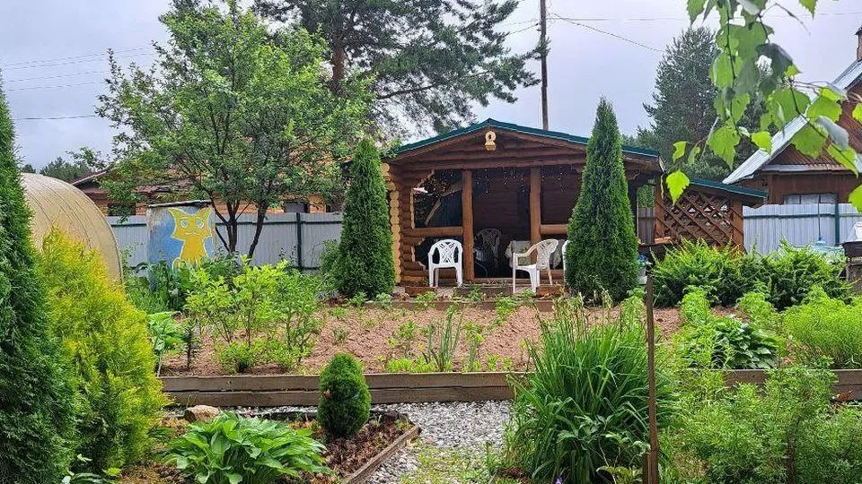 Штраф до 700 тысяч за сорняки: дачников Подмосковья предупредили о новом законе