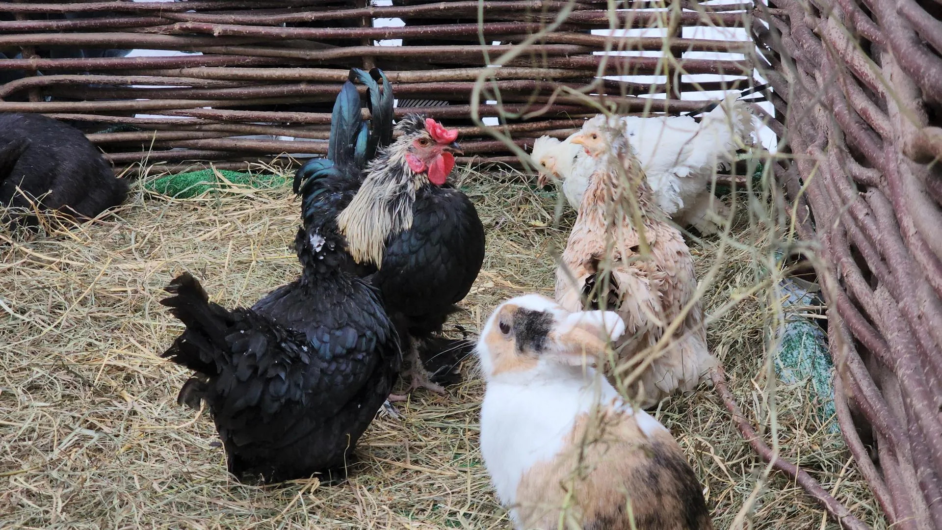 МедиаБанк Подмосковья/Юлия Смагринская