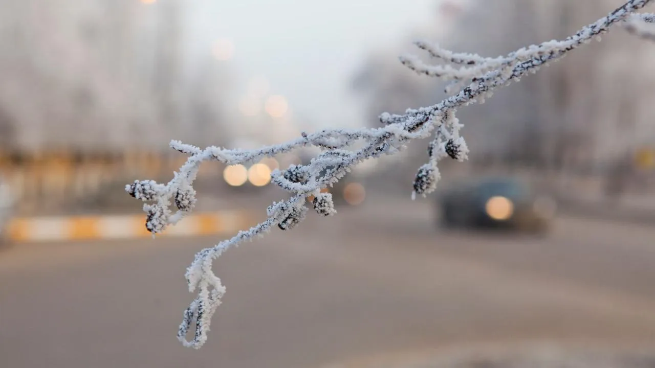 медиасток.рф