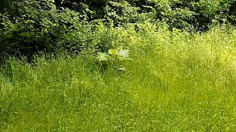 Фото: vk.com/Alexey Malkin