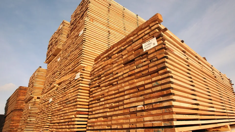 Фото: РИА Новости/Виталий Белоусов