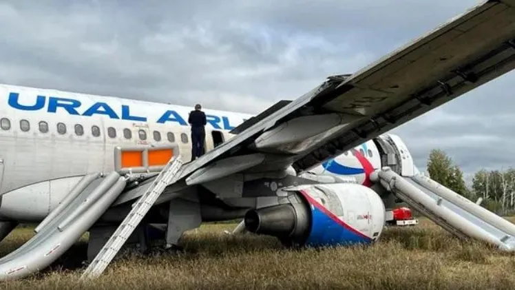 Фото: соцсети