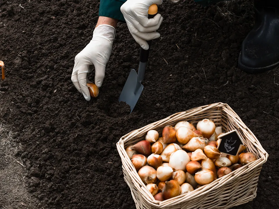 Фото: istockphoto.com