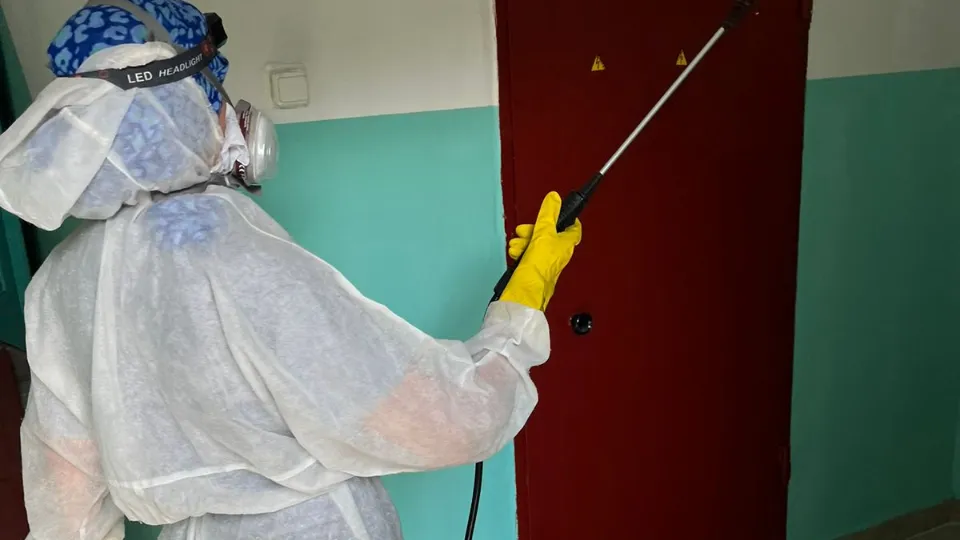 Фото: ООО «ДГХ»