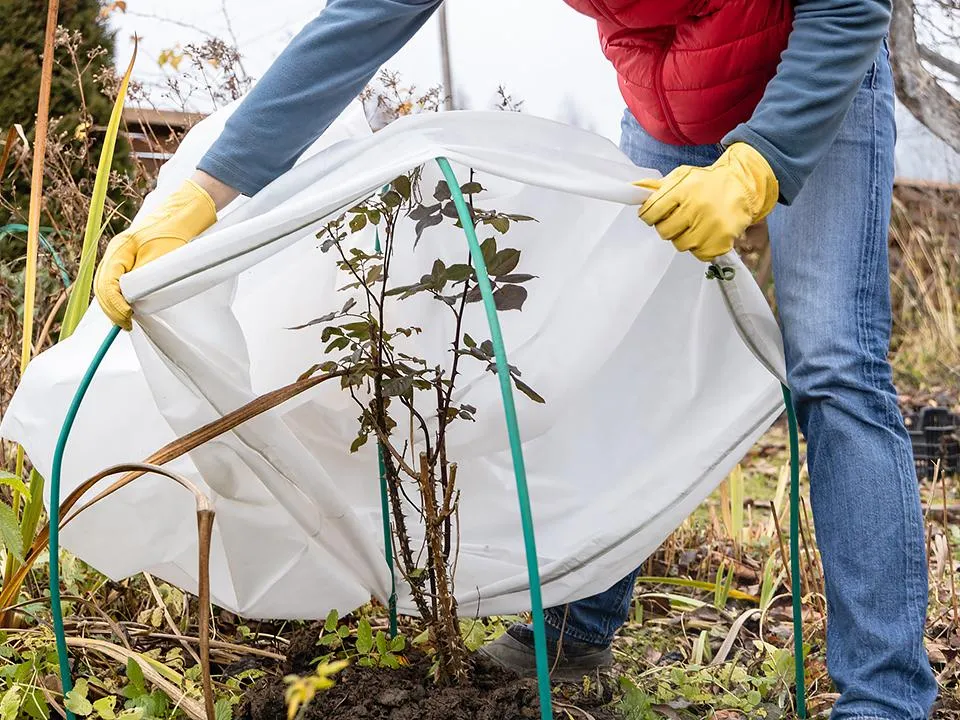 Фото: istockphoto.com