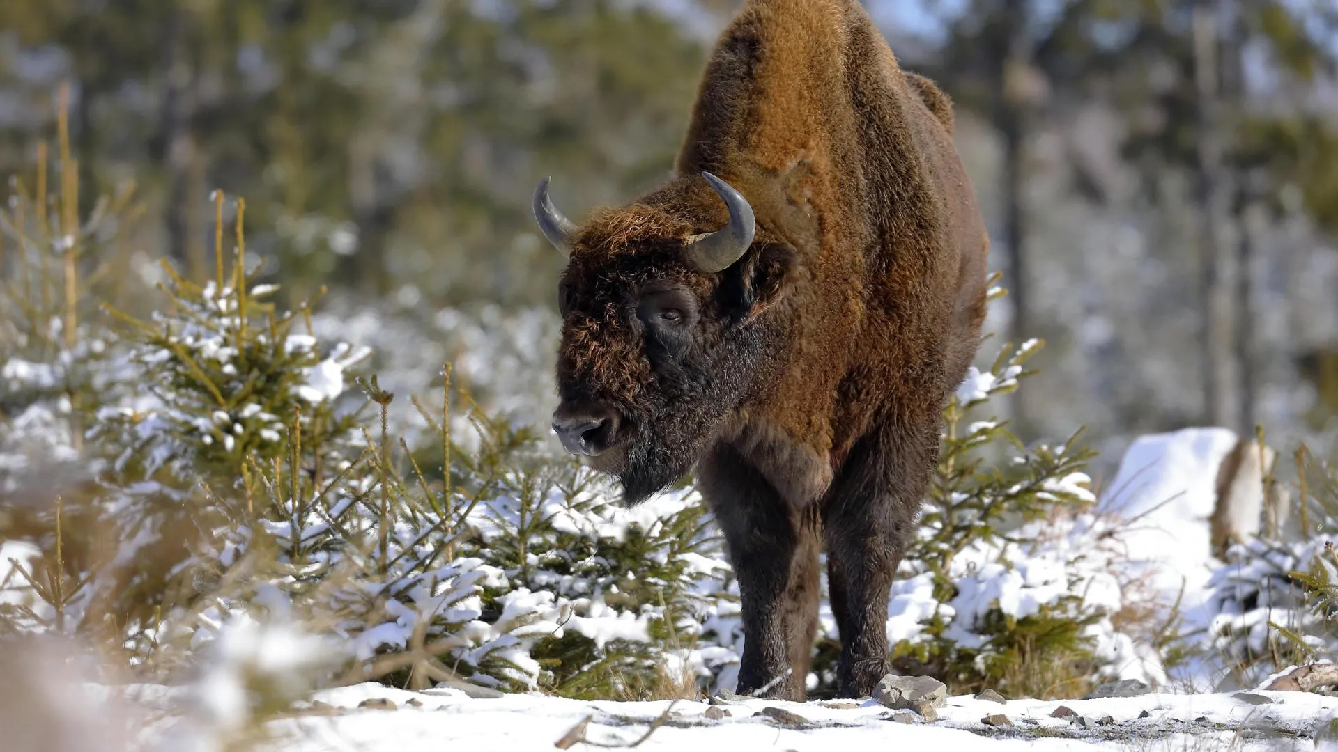 Friedhelm Adam/http://imagebroker.com/#/search/