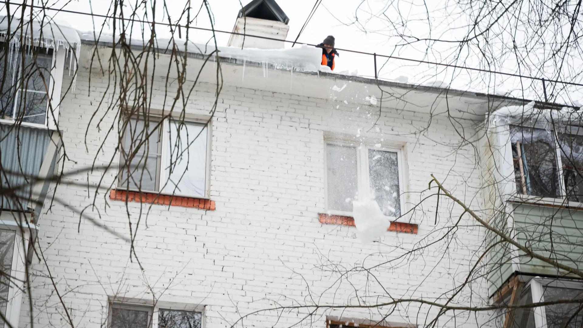 Фото: Владимир Думчев