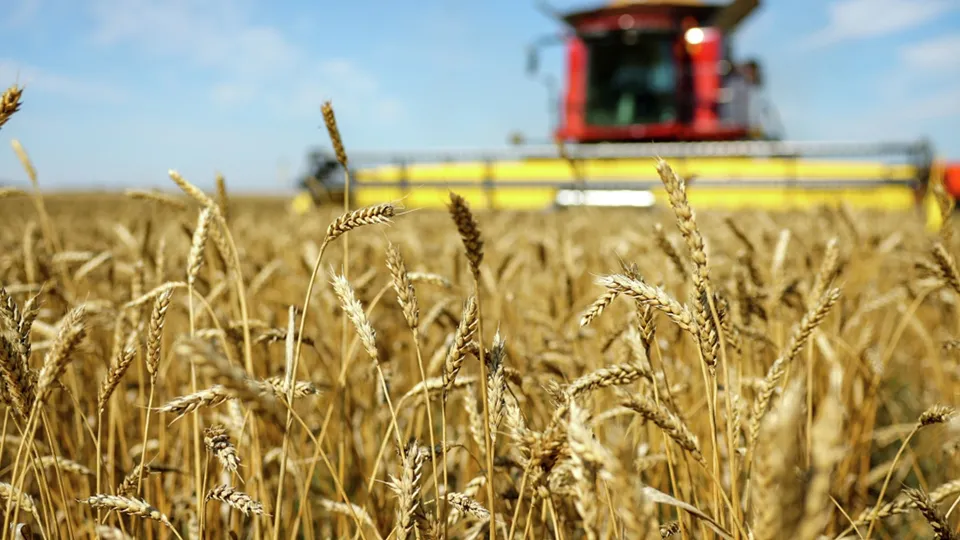 Фото: РИА Новости/Кирилл Брага